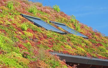 The Ridgeway living roof systems